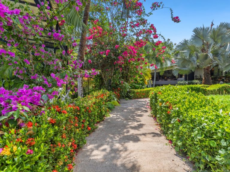 Boutique Hotel Garden Walkway